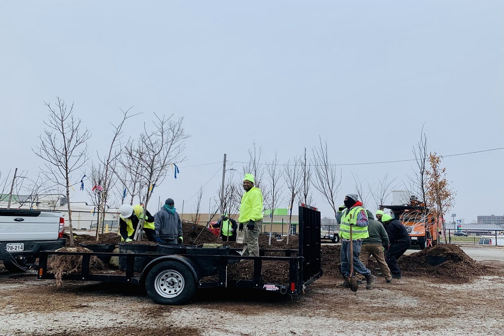 City of St. Louis Government – Last Week Forestry Crews Planted More Than 220 New Trees! City of St. Louis Government – Last Week Forestry Crews Planted More Than 220 New Trees!