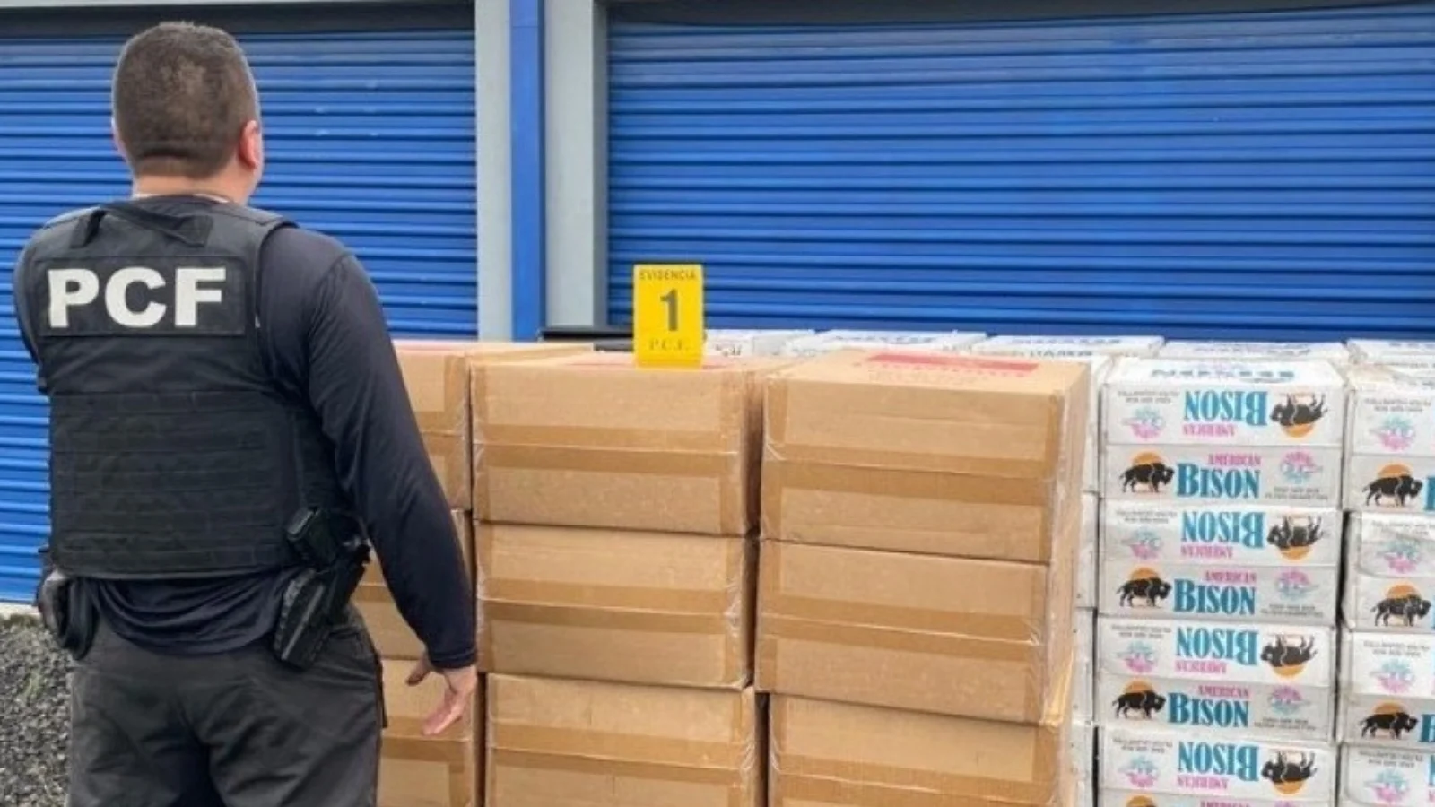 PolicĂa de Control Fiscal (PCF) del Ministerio de Hacienda - Ministerio de Hacienda PolicĂa de Control Fiscal (PCF) del Ministerio de Hacienda - Ministerio de Hacienda