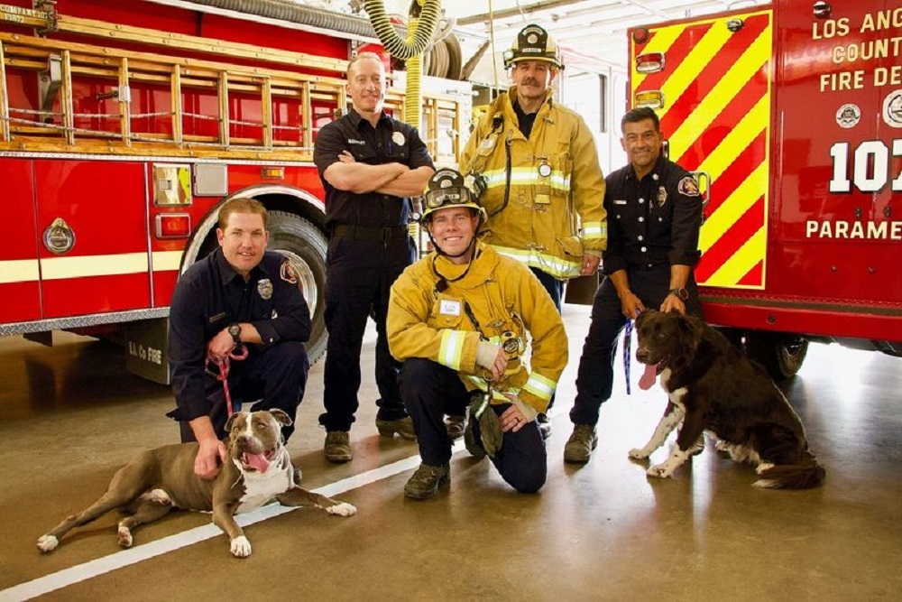 All Fireworks Are Illegal in the SCV All Fireworks Are Illegal in the SCV