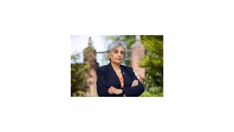 Oregon State University: Researchers develop electrolyte enabling high efficiency of safe, sustainable zinc batteries Oregon State University: Researchers develop electrolyte enabling high efficiency of safe, sustainable zinc batteries