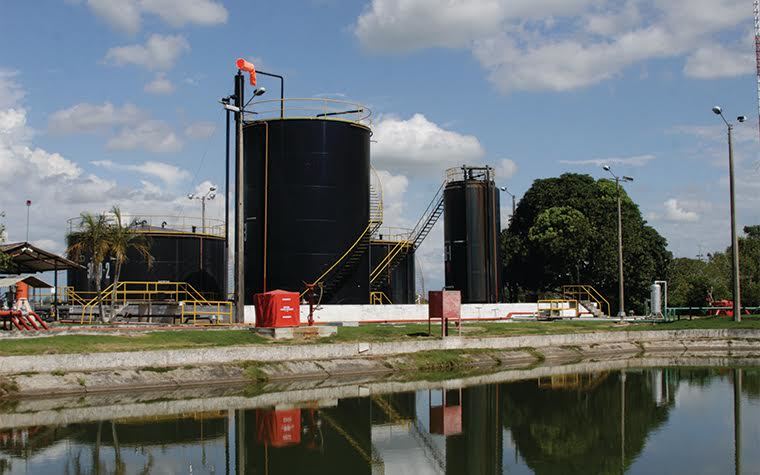 Colombia’s Petrolatina increases revenue despite crude prices plunge