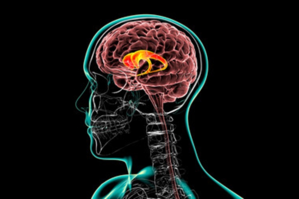 Atrium Health Navicent Offers Tips for Preventing Traumatic Brain Injuries