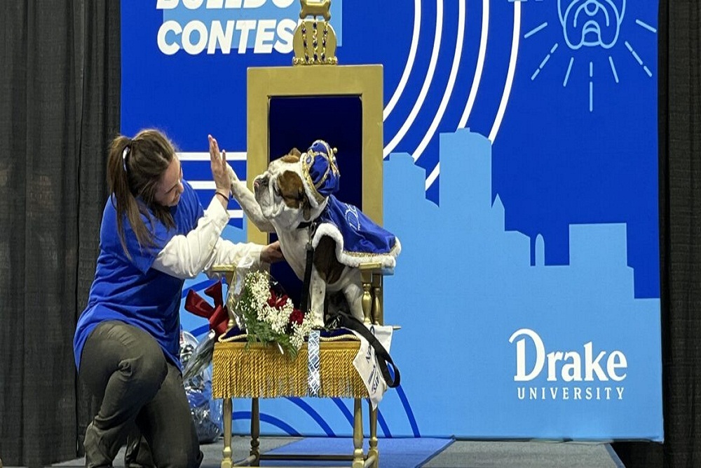 Bam Bam Slams Competition, Wins Drake University’s Beautiful Bulldog Contest