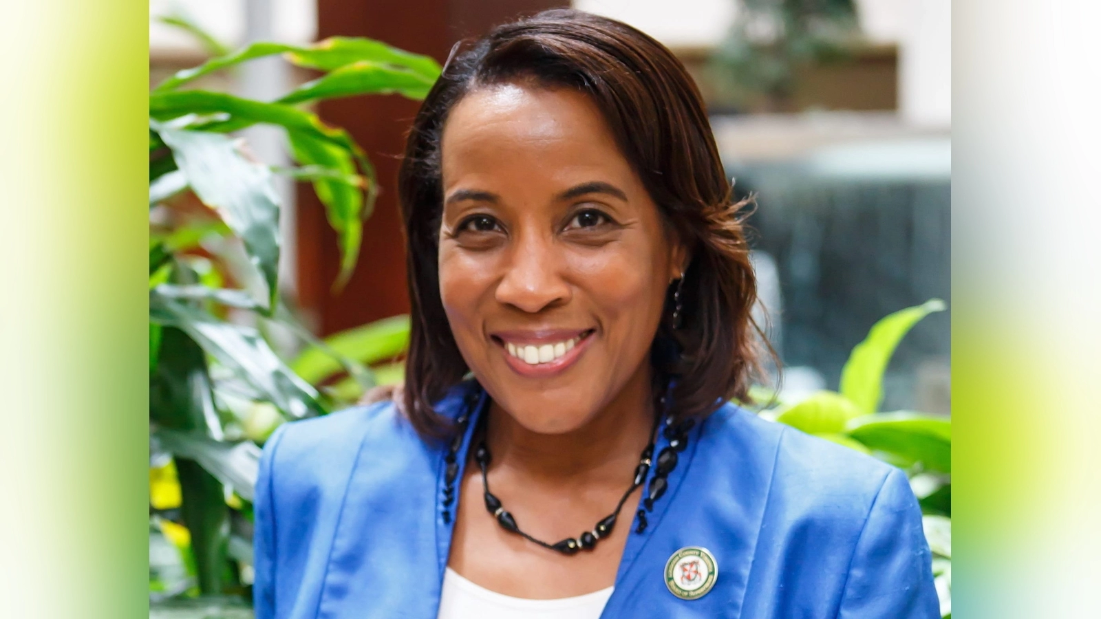 Loudoun County Democrats face questions for taxpayer-funded travel and supposed foreign investments