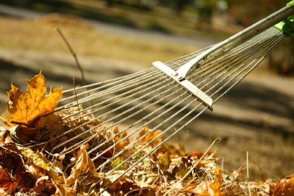2021 Leaf Collection Schedule