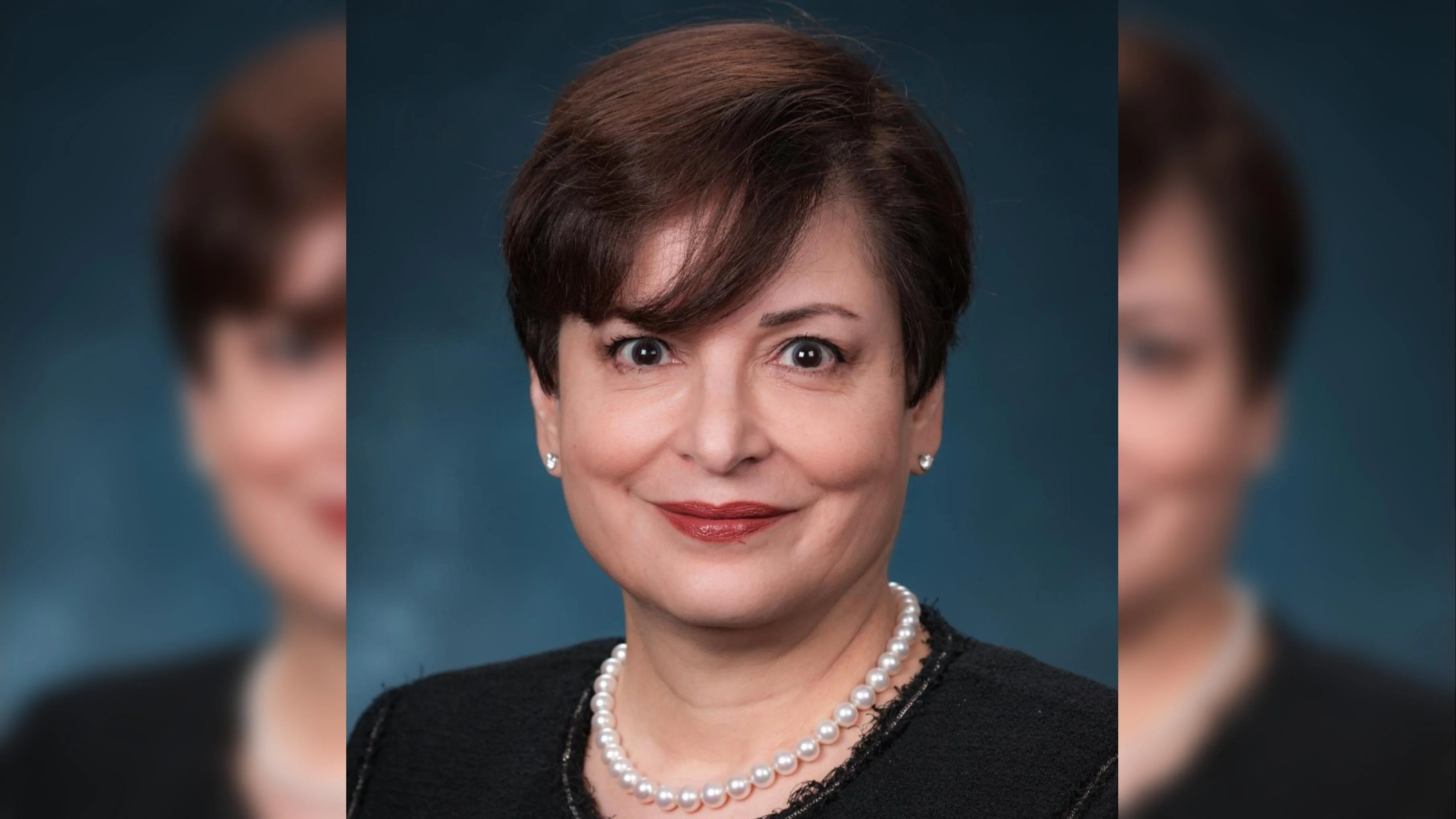 Debra Torres Chief Ethics & Compliance Officer - Port Authority of New York and New Jersey Debra Torres Chief Ethics & Compliance Officer - Port Authority of New York and New Jersey