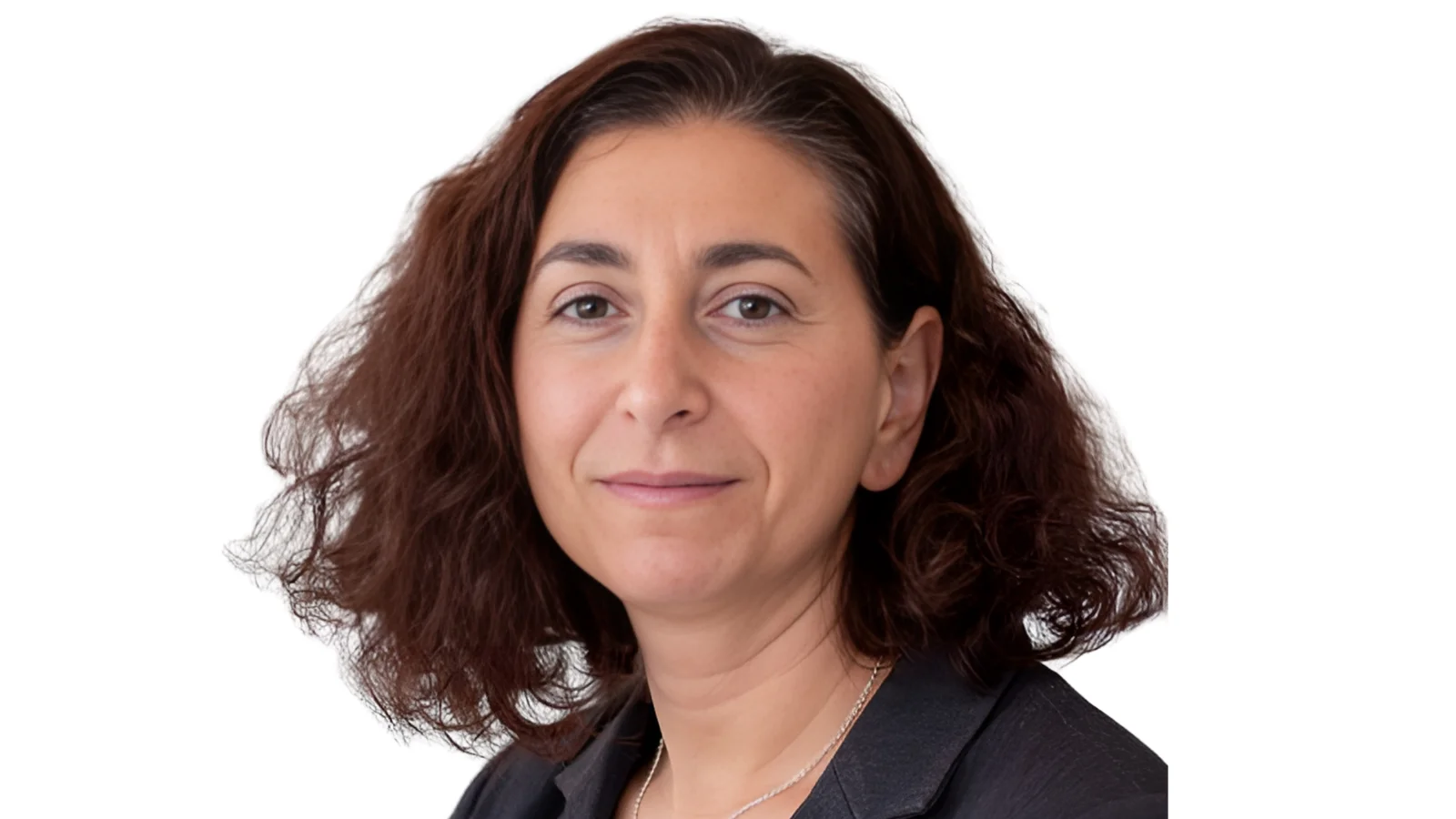 Rose Tirotta-Esposito, Assistant Provost of Educational Transformation Director, Center for Excellence in Learning and Teaching (CELT)