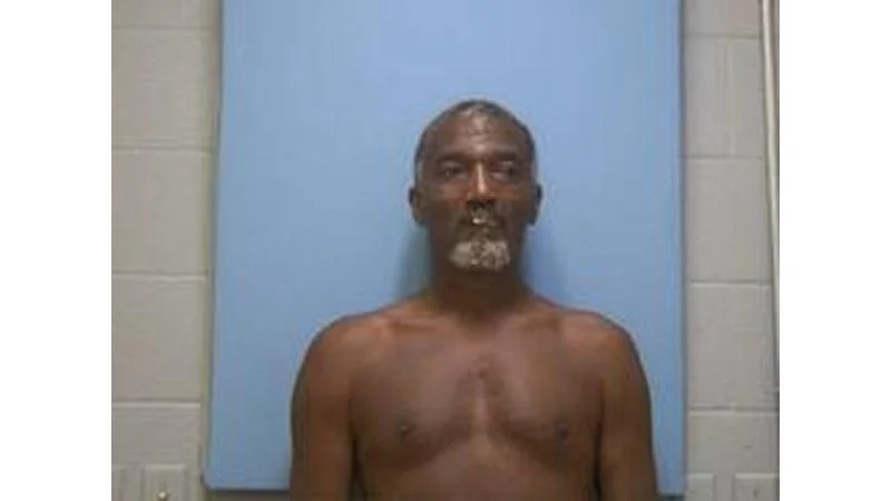 1 booked on property charge in Mississippi County on July 27