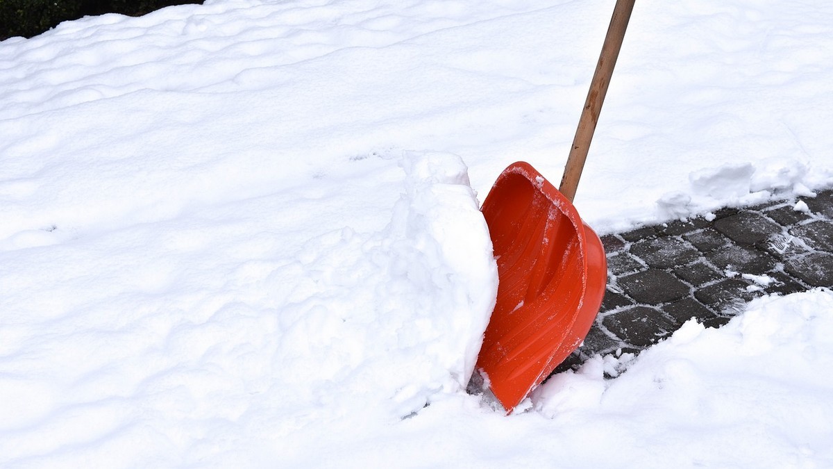 Public Notice: Mandatory Removal of Snow