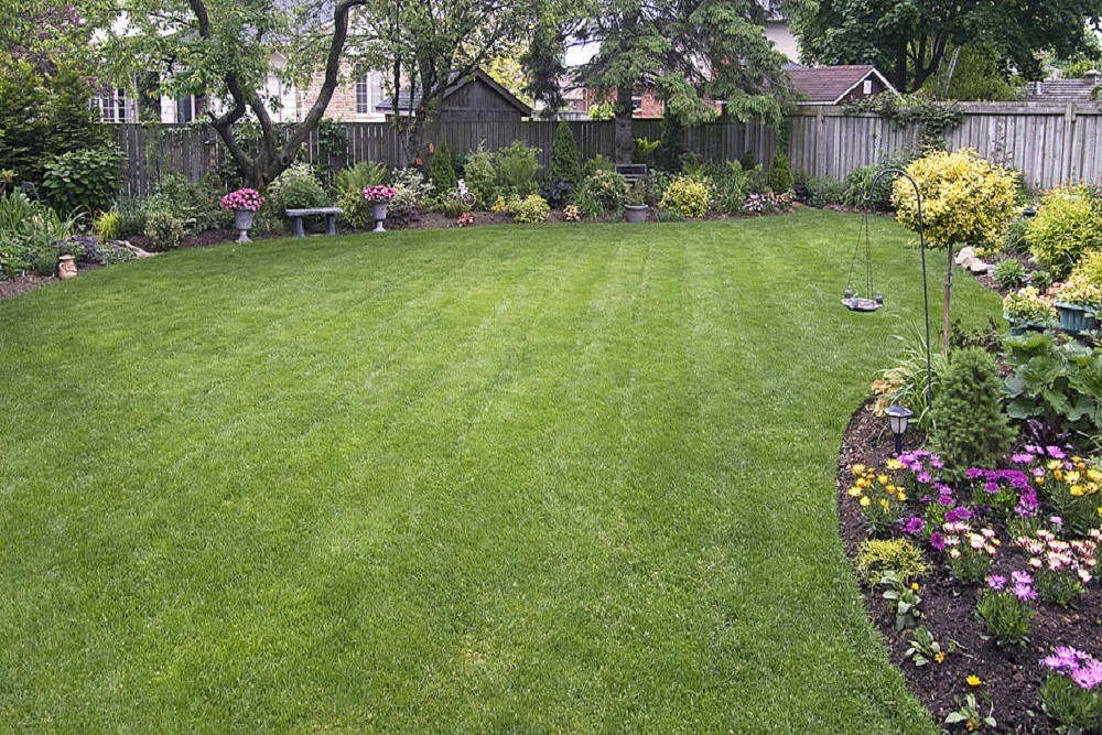 CITY OF WATERLOO: “A Practical Backyard Tour” CITY OF WATERLOO: “A Practical Backyard Tour”