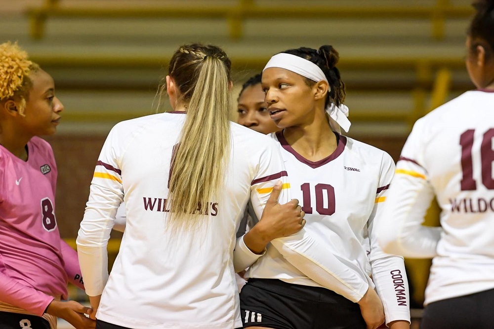 Wildcats Face Alabama State in Regular Season Finale