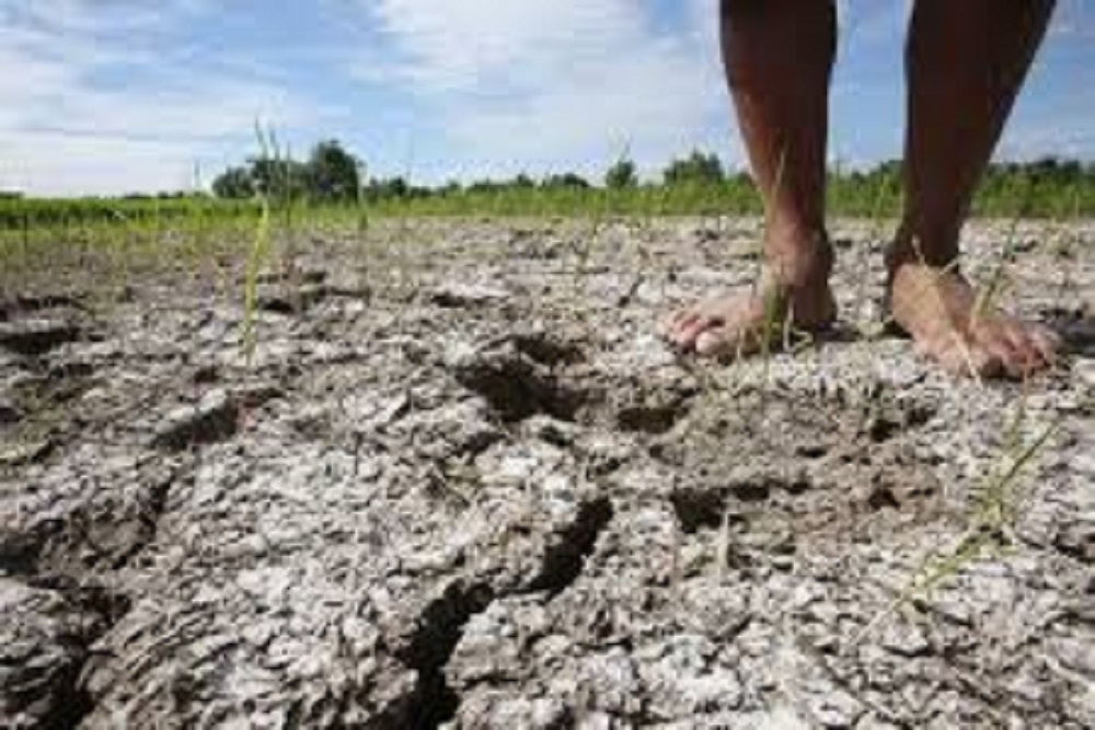 TOWN OF HILLSBOROUGH: In Moderate Drought; Heed Irrigation Requirements