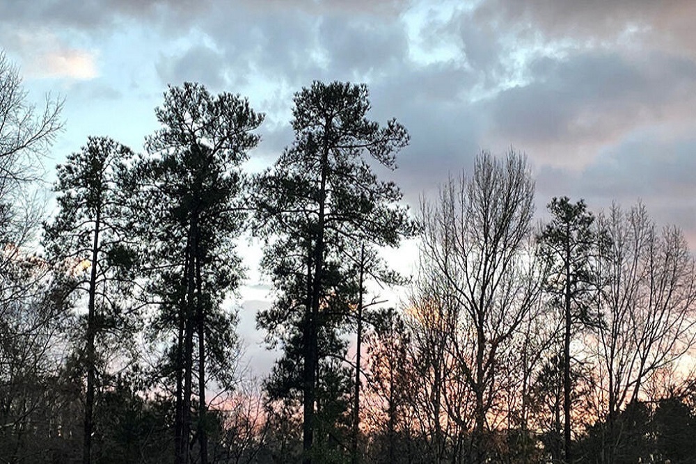 The Weather Authority: Dry, warm weather through Monday, severe storms possible Tuesday