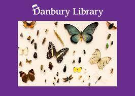 It’s a Great Big Bug World!