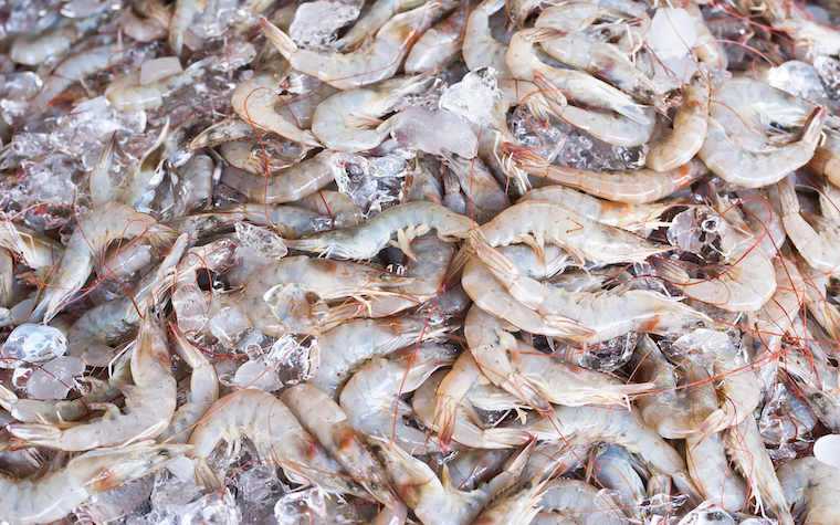 Unido Partners with OFID to grow shrimp value chain