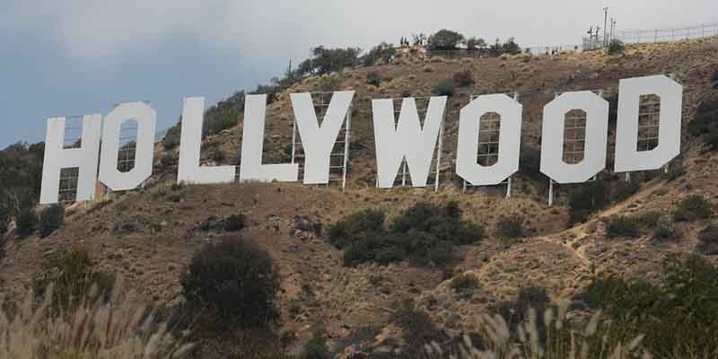 Levy: 60 celebrities ‘now are lucky enough to have a bag of Dr. Monkey’s caramels’