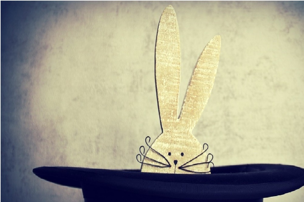 Oceans of Fun Magic Show on June 16, 2022