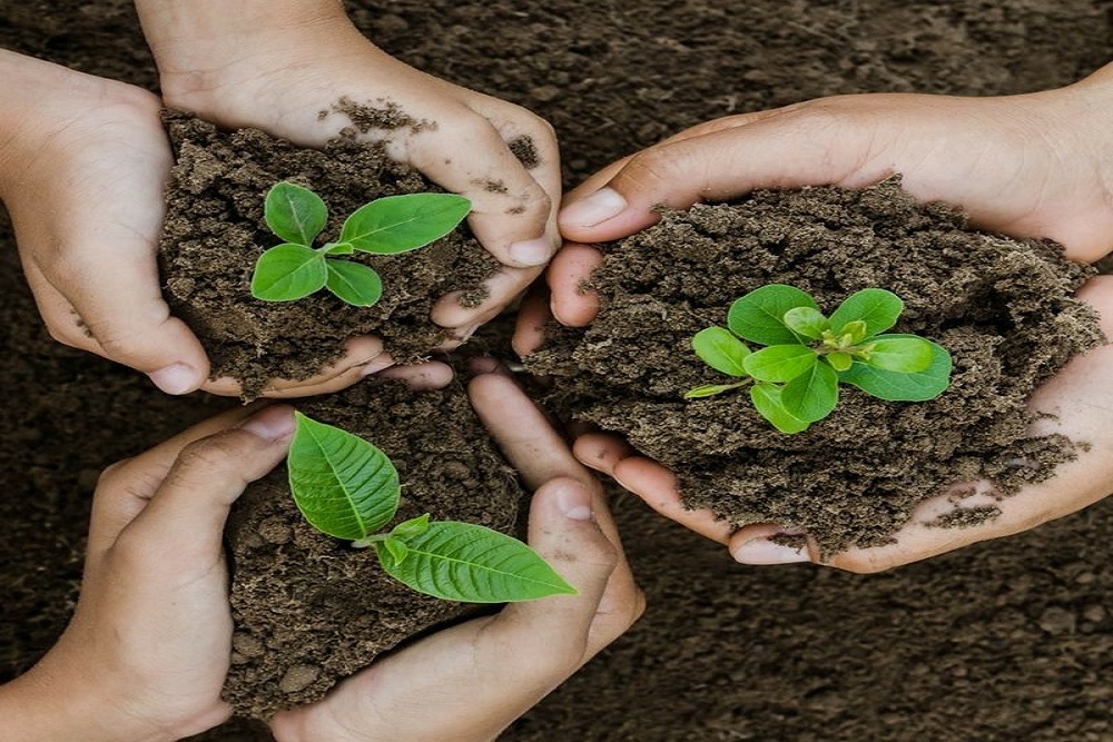 SEARCY REGIONAL CHAMBER OF COMMERCE: Giving Tree Cycle