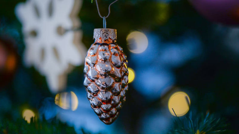 Pinehurst, Southern Pines, Aberdeen Area CVB Announces its Congratulatory Praise To the Finder of The Very First Glass Pinecone