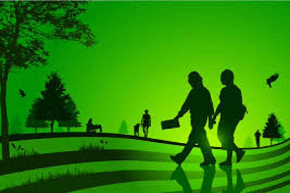 CITY OF KINSTON: Emma Webb Park Community Survey