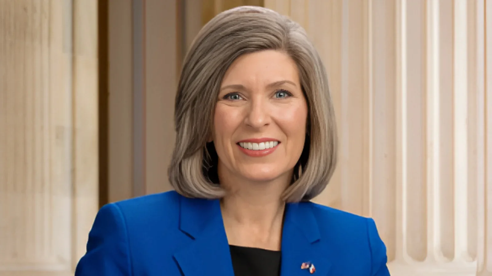 Joni Ernst, Chair