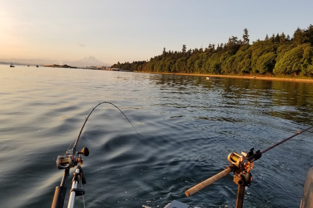 Marine Area 11 salmon season opens June 1