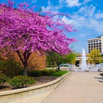 University Opens on Jan 3 University Opens on Jan 3