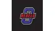 Obion County Rebels set for Thursday baseball game at South Fulton Obion County Rebels set for Thursday baseball game at South Fulton