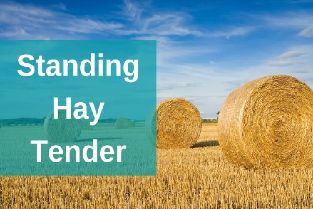 Hay Available by Tender