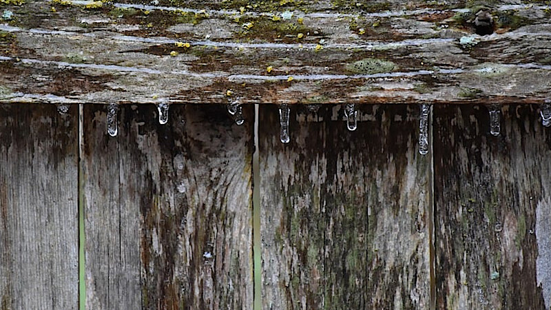Watson on latest winter disturbance to hit Austin: ‘Like so many of our residents, I’ve been frustrated’ Watson on latest winter disturbance to hit Austin: ‘Like so many of our residents, I’ve been frustrated’