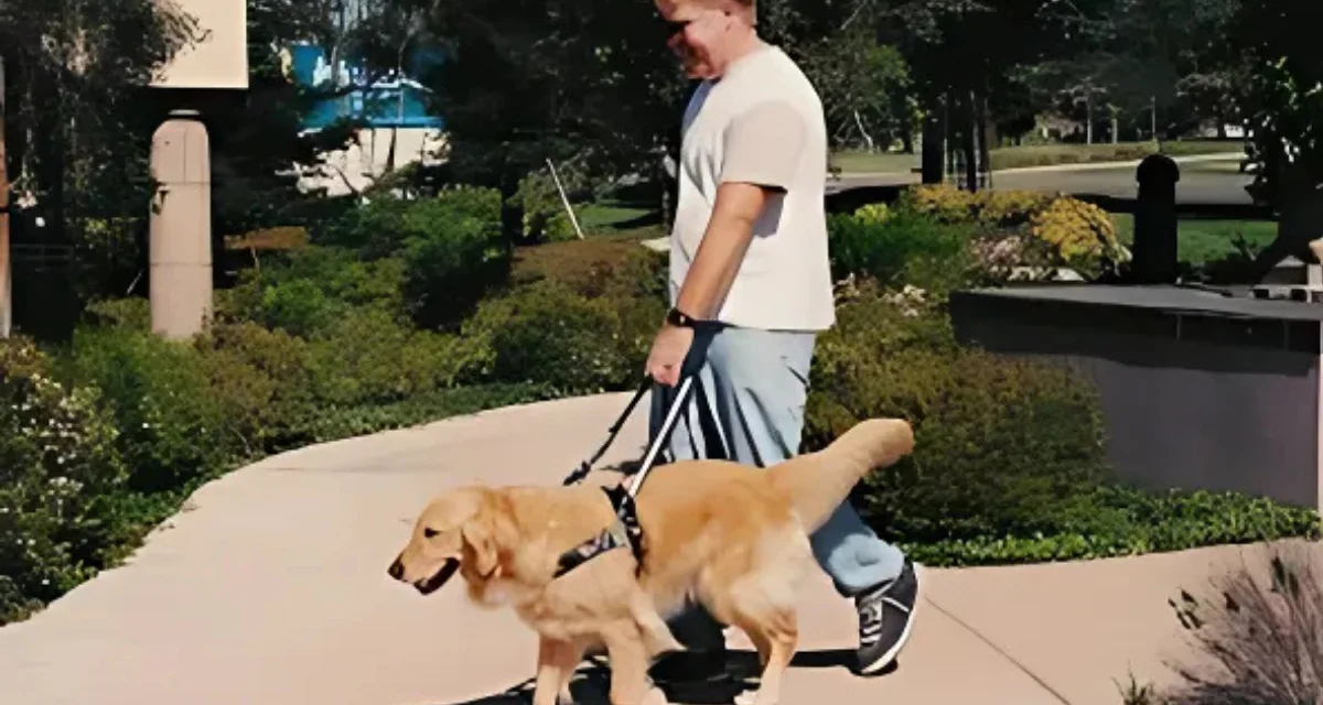 Guide Dogs of America