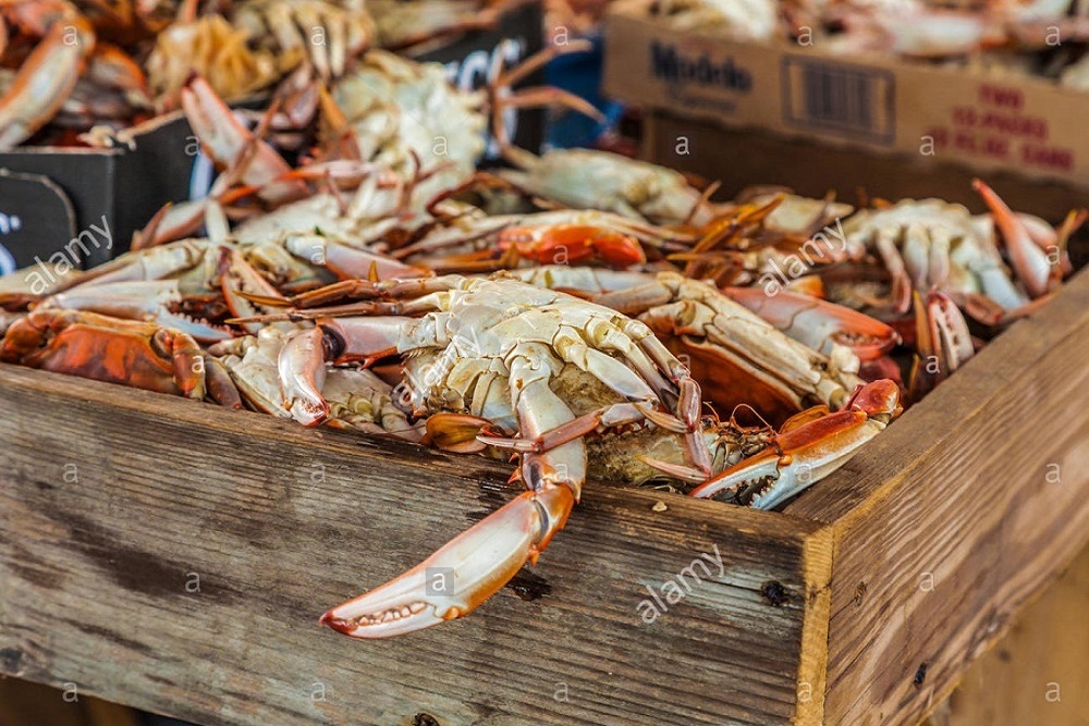 NORTHWEST CHAMBER OF COMMERCE: ROMG Chamber of Commerce Crab Feast to be held August 2