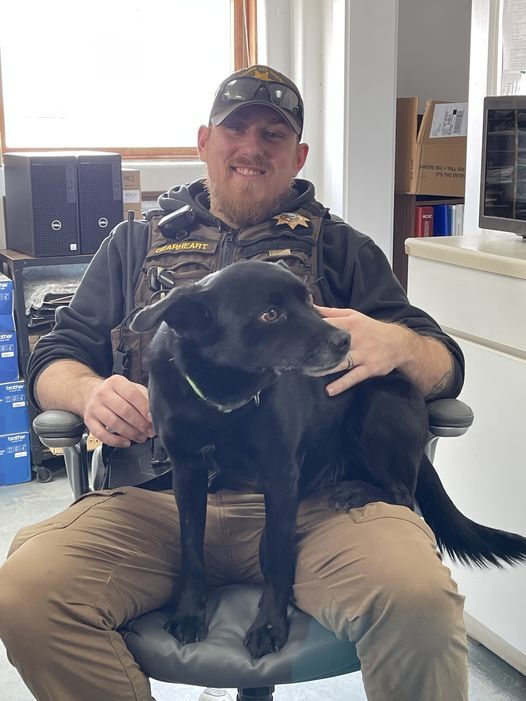 Meagher County Sheriff: Lost and Found Dog