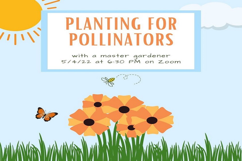 Planting for Pollinators