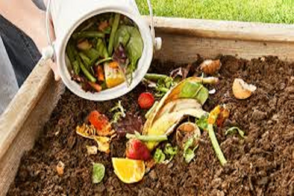 TOWN OF WEDDINGTON: Free 1.5-Hour Composting Class On September 25 TOWN OF WEDDINGTON: Free 1.5-Hour Composting Class On September 25