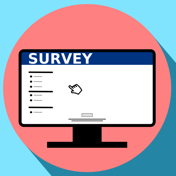 Mecklenburg County Budget Survey