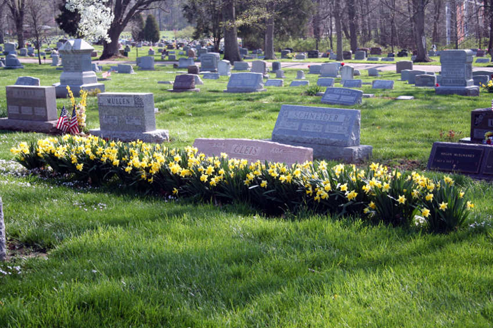 MINER ACADEMY: A Dia De Los Muertos ( Day of the Dead) MINER ACADEMY: A Dia De Los Muertos ( Day of the Dead)