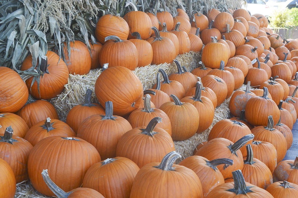 It’s the Great Pumpkin Tour on October 23