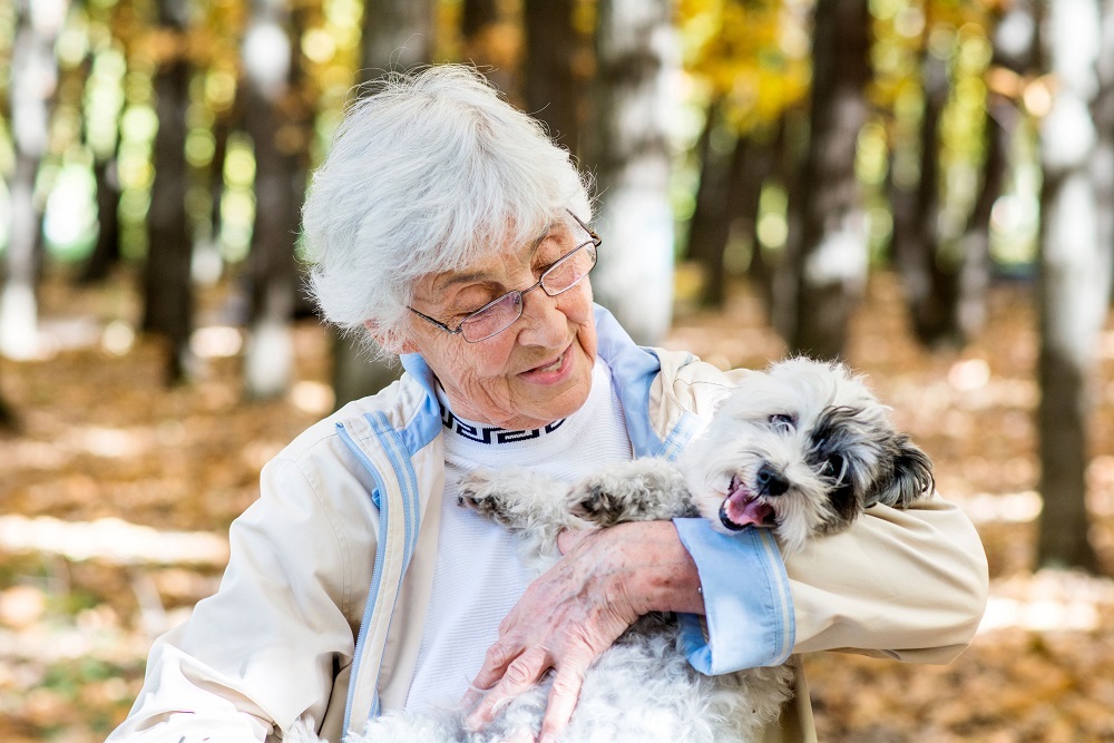 Long-term pet ownership may help older adults retain cognitive skills