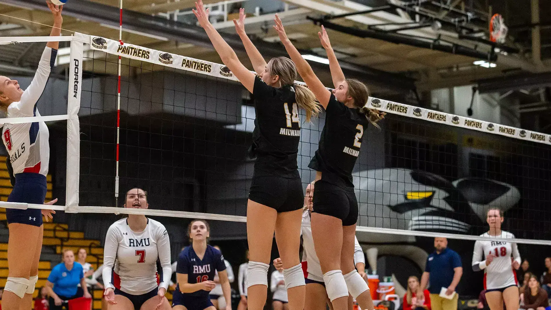 Carol Herrero joins Milwaukee Volleyball for fall 2025 season