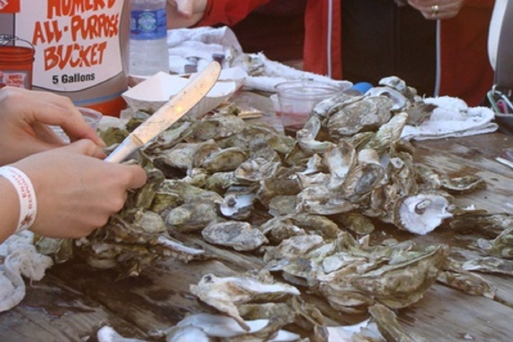 Greater Bluffton Chamber of Commerce: Bluffton Rotary Oyster Roast Greater Bluffton Chamber of Commerce: Bluffton Rotary Oyster Roast