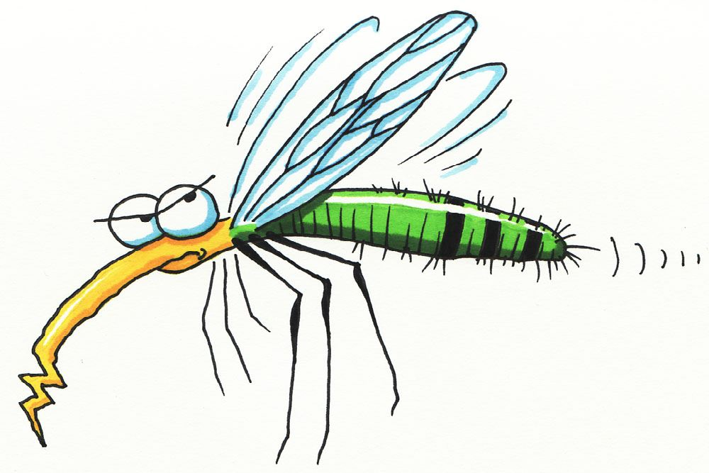 Mosquito Spraying – Scheduled for June 16th