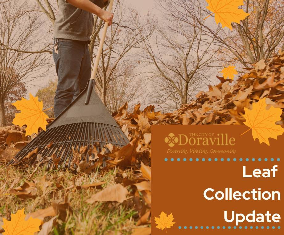 Leaf Collection Update