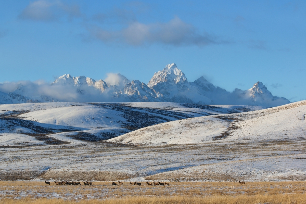 Winter Break – NO CLASSES on January 2