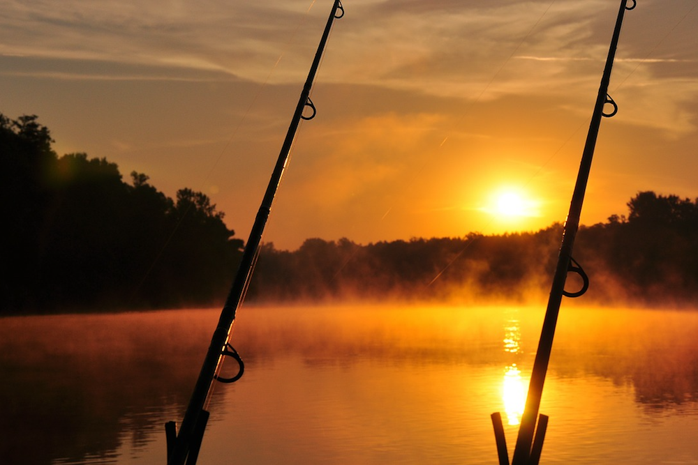 MARYLAND DEPARTMENT OF NATURAL RESOURCES: Maryland Fishing Report: June 20