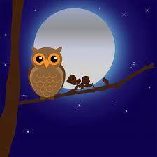 New Canaan Nature Center’s Owl Moon Night Hike