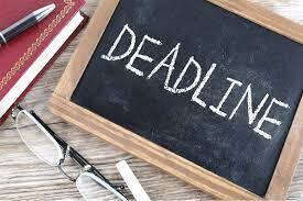 Business License deadline