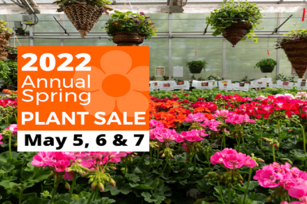 Hennepin Technical College: 2022 Annual Plant Sale
