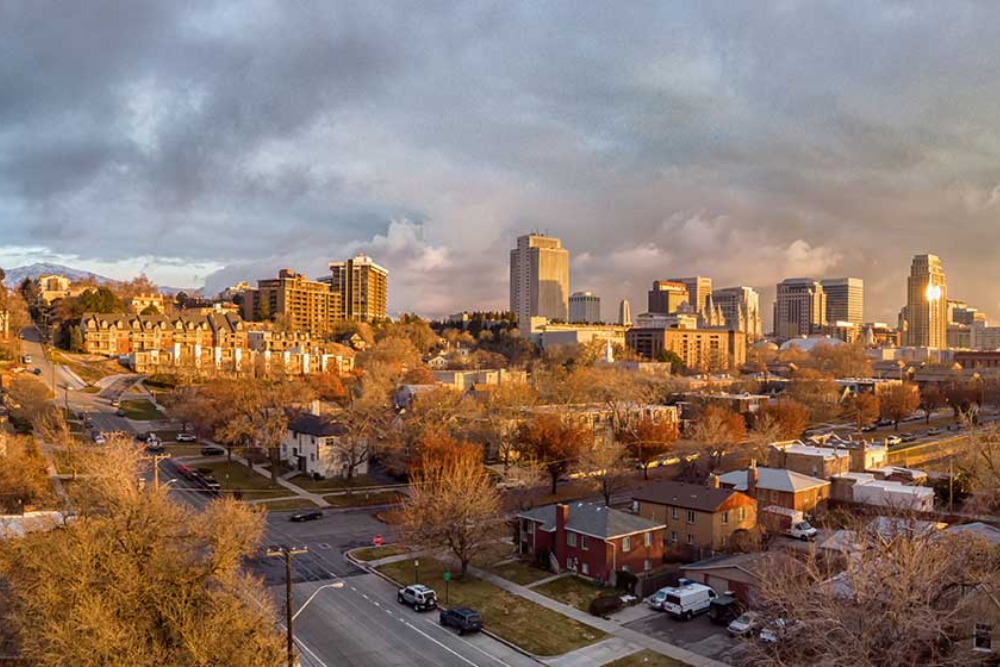 This Week’s NSL Quick Update This Week’s NSL Quick Update