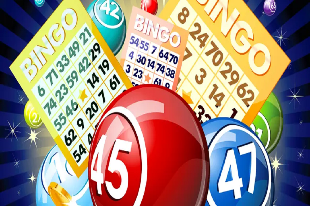 Free Bingo Tonight